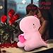 SQEQE Dinosaur Stuffed Animal Loving Soft Dino Plush Toys with Holding Heart Sweet Romantic Anniversary Birthday Gift for Her Girls Boys GirlfriendPink12 inch - Image 2