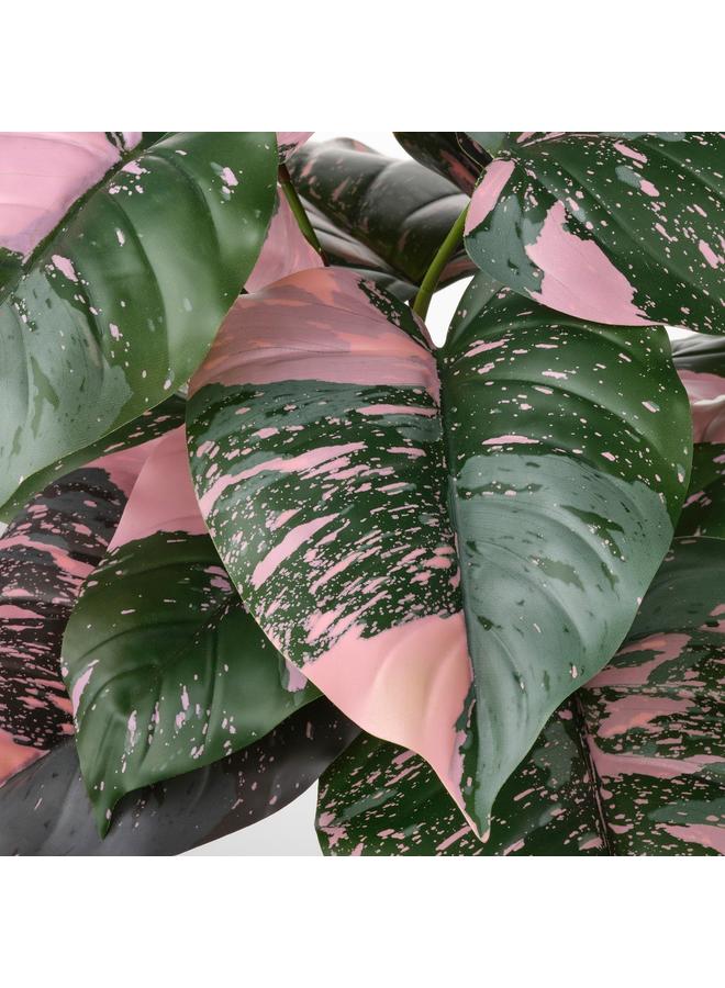erorex Artificial Potted Plant, In/Outdoor Philodendron/Green/Pink, 15 Cm - Image 4