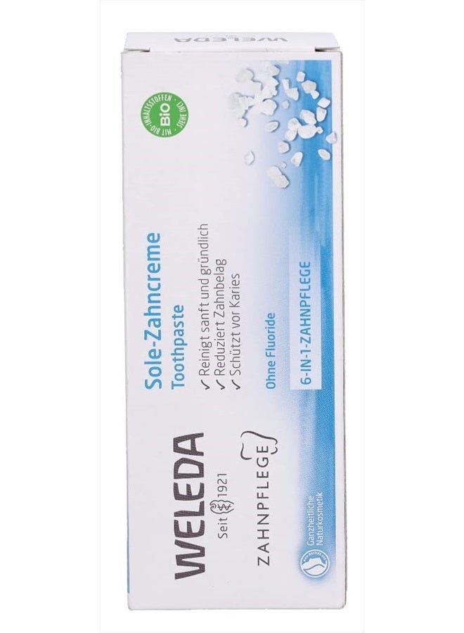 Weleda Natural Salt Toothpaste, 2.5 Ounce (Pack of 1) - Image 4