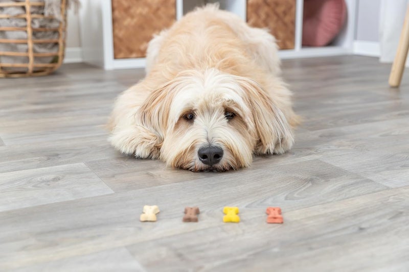 Trixie Cookie Snack Mini Bones Dog Treats 1.3kg - Image 3