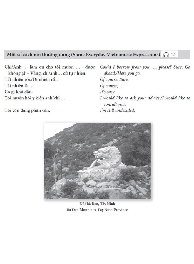 Continuing Vietnamese: Let's Speak Vietnamese (Audio Recordings Included) - Image 5