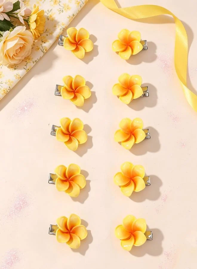 Take Two Set of 10 - Flower Hair Clips