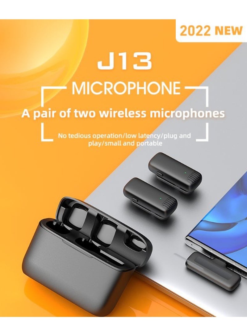 GREEN LION 2 in 1 Wireless Microphone with Type-C Connector, 64 DBM Adaptive Noise Reduction, Accurate Voice Picking-DSP Noise Reduction, Plug To Use - Black - Image 2