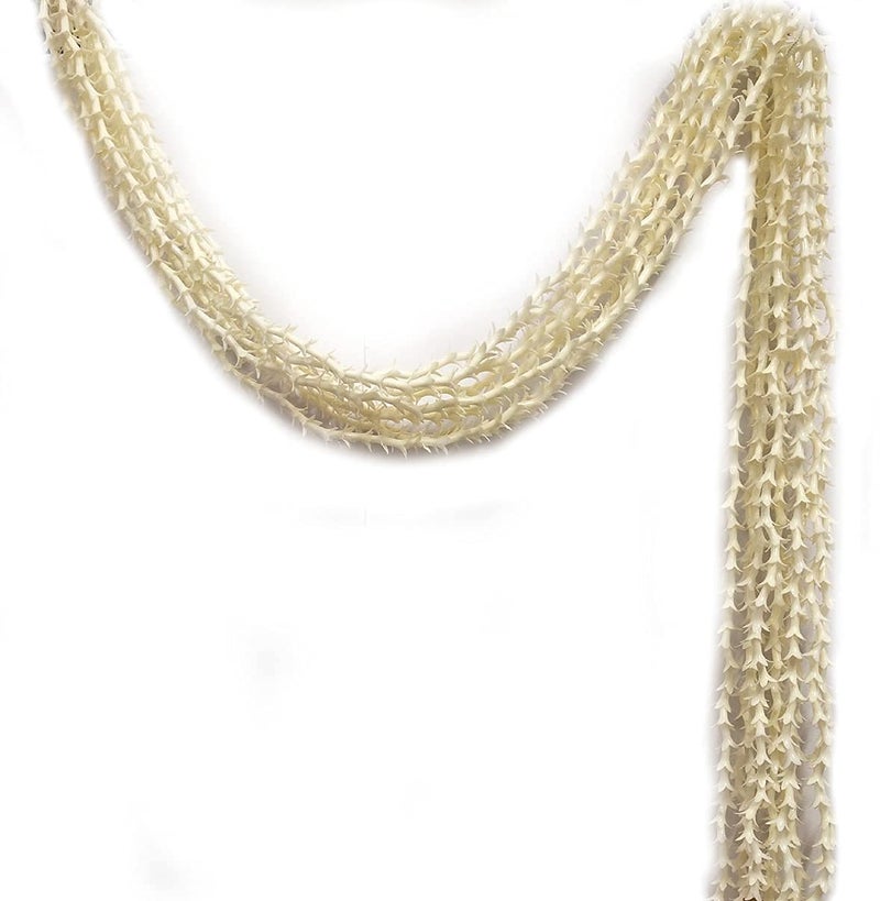 3A FEATURETAIL 5Ft Artificial Rajnigandha/Tuberoses Garland String, Rajnigandha Ladi for Decoration (5feet Length 10 Ladi, Rajnigandha Ladi Plain) - Image 1