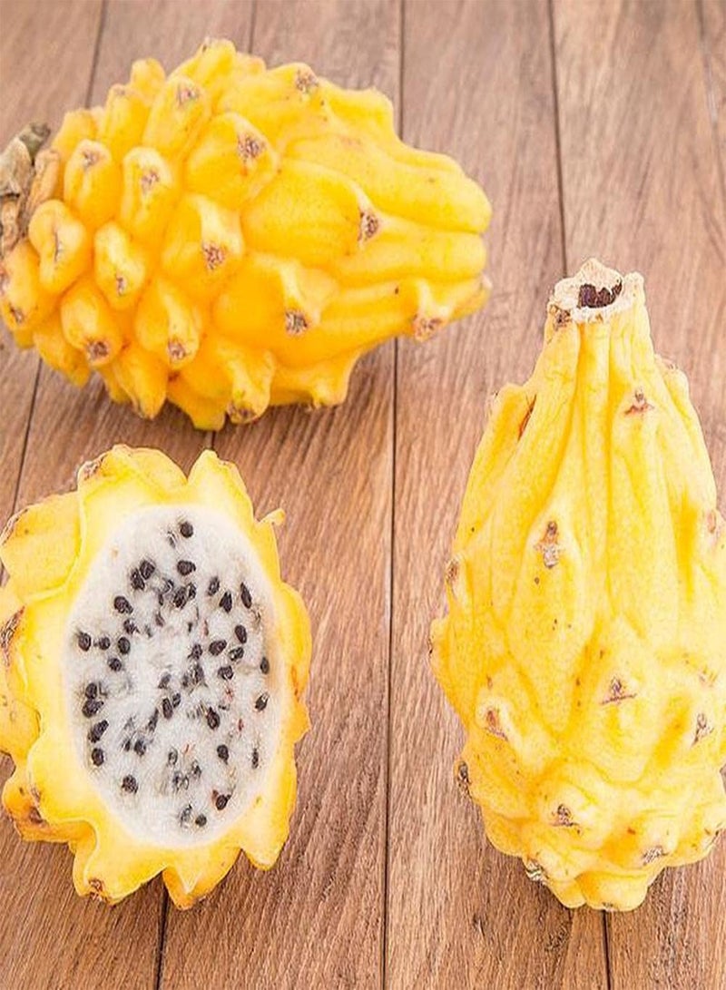 GGOOT 200pcs Rare Pitaya Seeds Yellow Peel Dragon Fruit Exotic Fruit Trees Can Both Harvested and Admired Become Charming Scenery in Home - Image 1