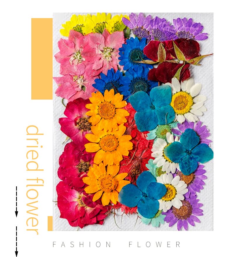 iKalaa® 130+ Pieces Real Pressed Dried Flowers Leaves Combo | Multicolored Pressed Flowers for DIY Candle Resin Jewellery Nail Pendant Crafts Making Art Floral Decorations - Image 4