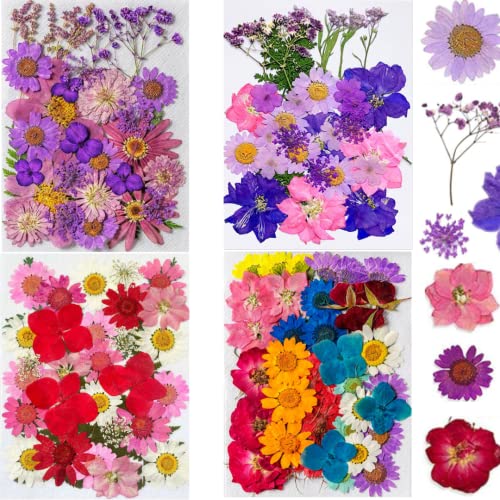 iKalaa® 130+ Pieces Real Pressed Dried Flowers Leaves Combo | Multicolored Pressed Flowers for DIY Candle Resin Jewellery Nail Pendant Crafts Making Art Floral Decorations - Image 1