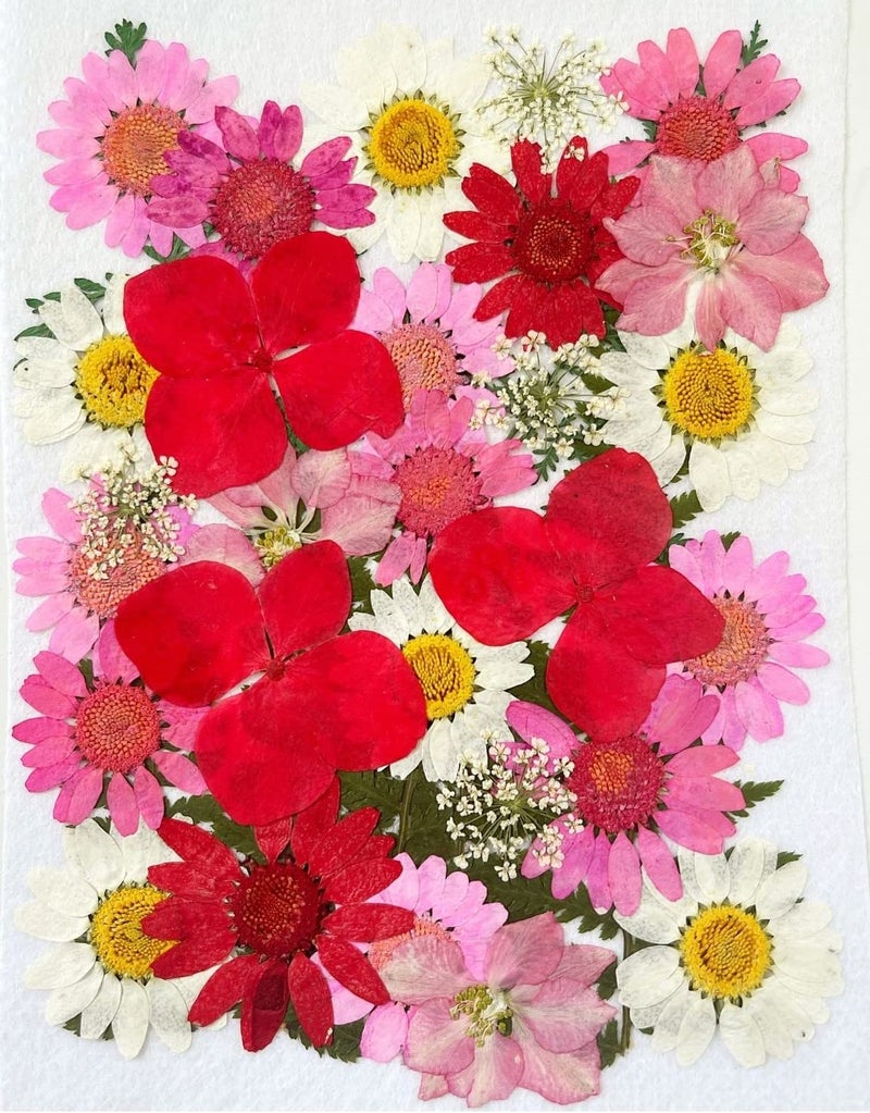iKalaa® 130+ Pieces Real Pressed Dried Flowers Leaves Combo | Multicolored Pressed Flowers for DIY Candle Resin Jewellery Nail Pendant Crafts Making Art Floral Decorations - Image 5