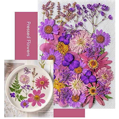 iKalaa® 130+ Pieces Real Pressed Dried Flowers Leaves Combo | Multicolored Pressed Flowers for DIY Candle Resin Jewellery Nail Pendant Crafts Making Art Floral Decorations - Image 2