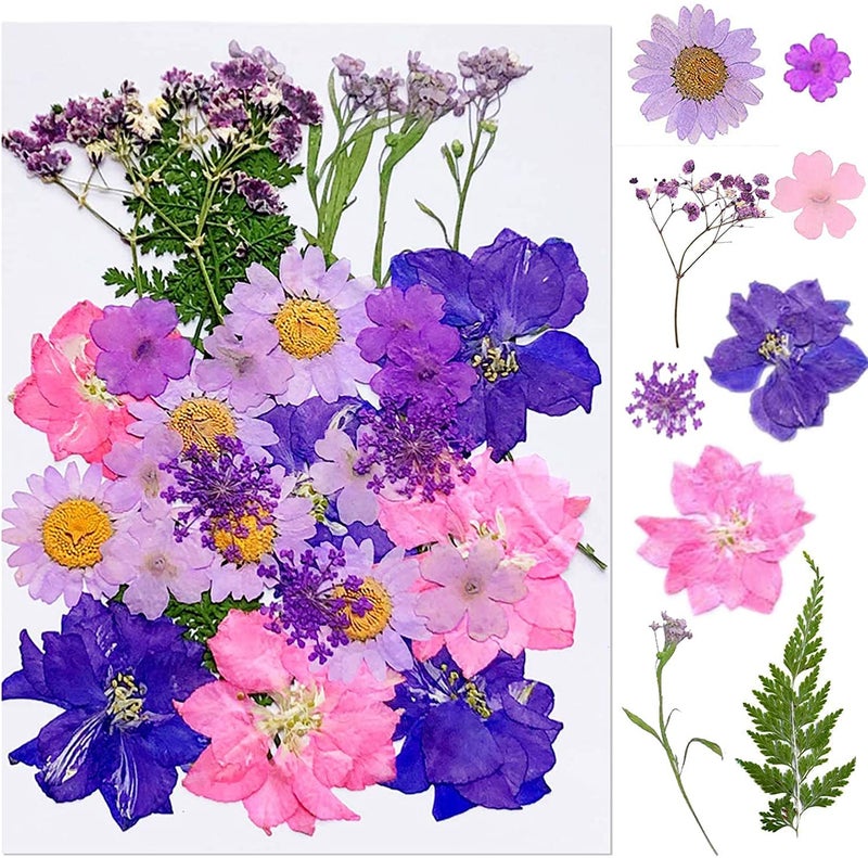 iKalaa® 130+ Pieces Real Pressed Dried Flowers Leaves Combo | Multicolored Pressed Flowers for DIY Candle Resin Jewellery Nail Pendant Crafts Making Art Floral Decorations - Image 3