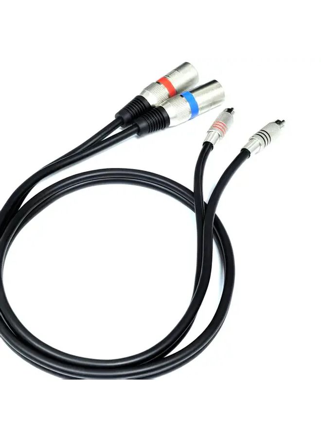6mm Dual RCA to Dual XLR Cable Black 78 74 Inch with Red Blue Ring Identification - Image 5