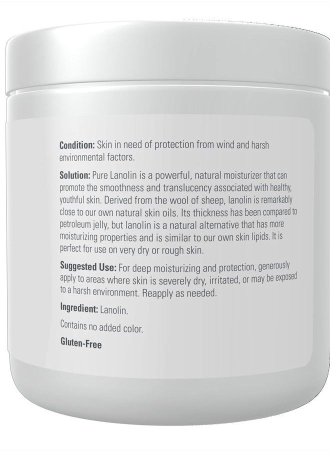 now Solutions, Pure Lanolin, Wind and Harsh Environment Skin Protectant, Thick Jelly, For Rough Dry Skin, 7-Ounce  - Image 2