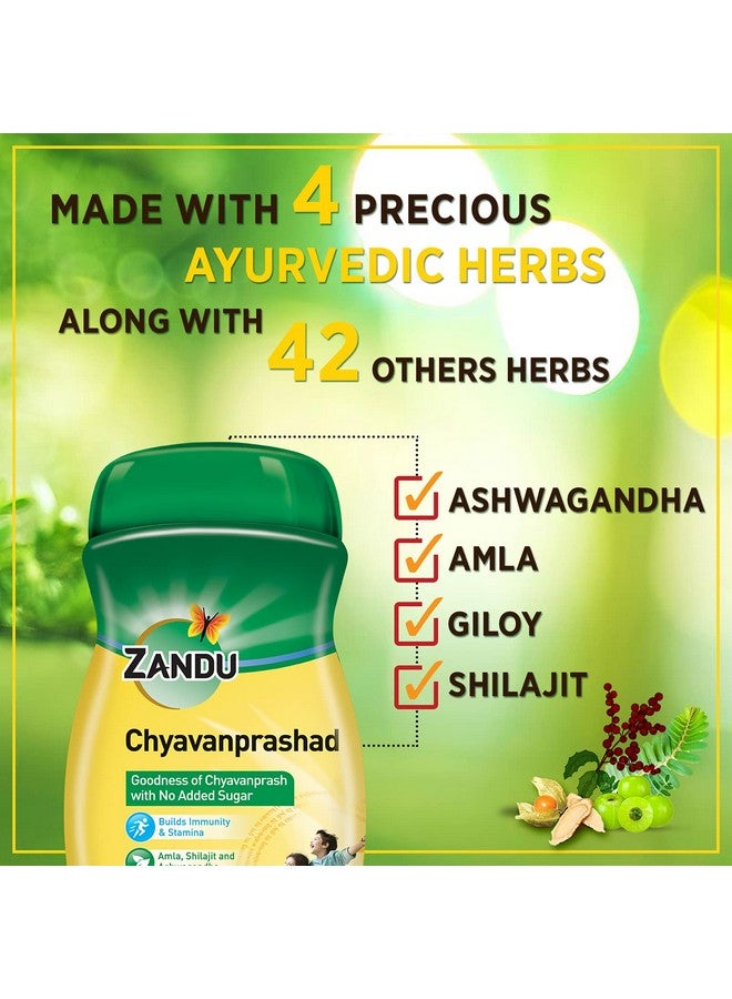 Zandu زانـدو شـيـافانـابـراش، مُعزِّز المناعة خالي من السكر - 900 جرام - Image 4