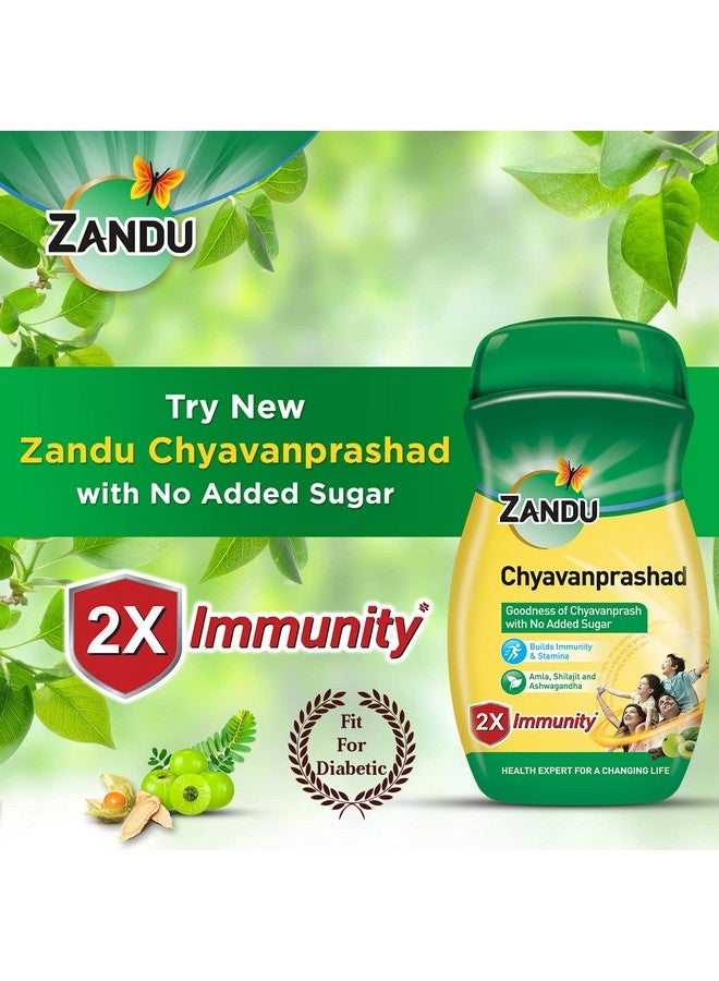 Zandu زانـدو شـيـافانـابـراش، مُعزِّز المناعة خالي من السكر - 900 جرام - Image 3