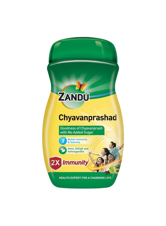 Zandu زانـدو شـيـافانـابـراش، مُعزِّز المناعة خالي من السكر - 900 جرام - Image 1