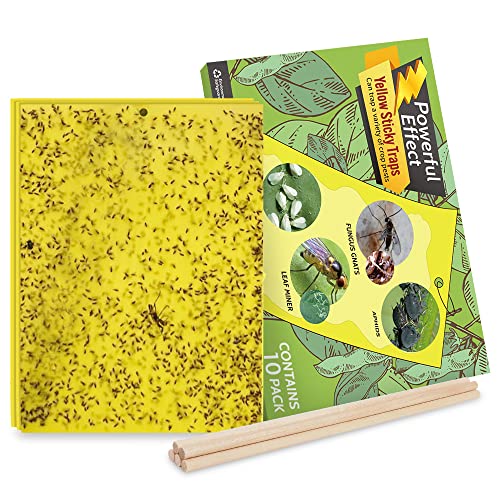 Kensizer 10-Pack Fruit Fly Trap, Yellow Sticky Gnat Trap Killer for Indoor/Outdoor Flying Plant Insect Like Fungus Gnat, Whiteflies, Aphids, Leaf Miners - 6x8 in, Twist Ties Included - Image 1
