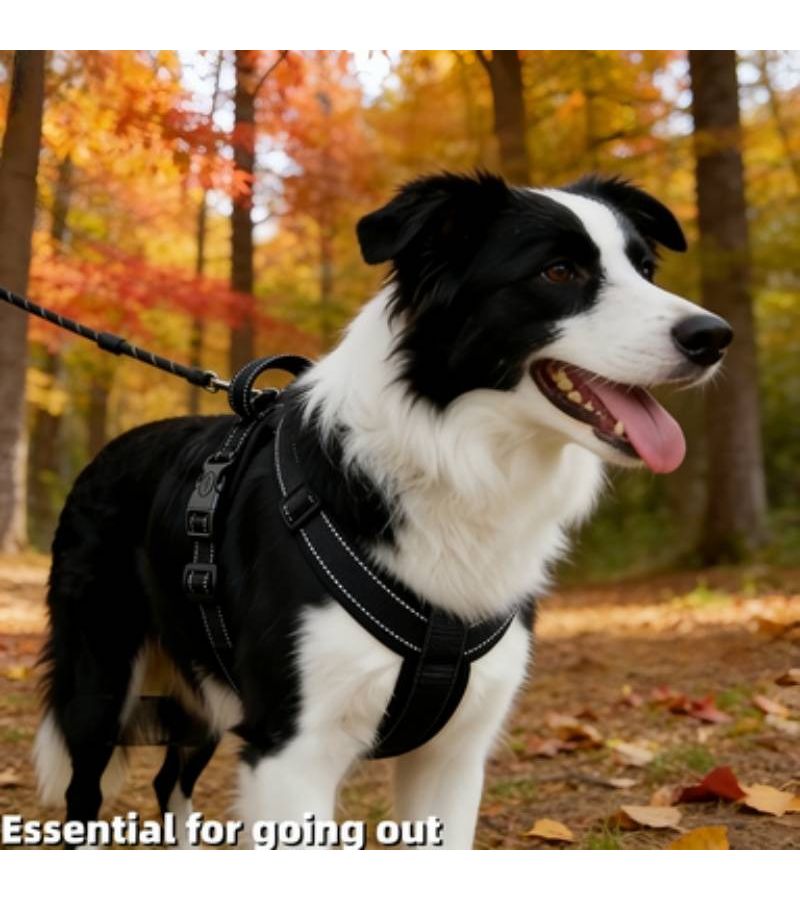 H Shaped Reflective Dog Harness For Large Dogs Adjustable No Pull Design With Padded Vest Secure Double Lock Buckle For Night Walks And Daily Use Black Size XL - Image 1