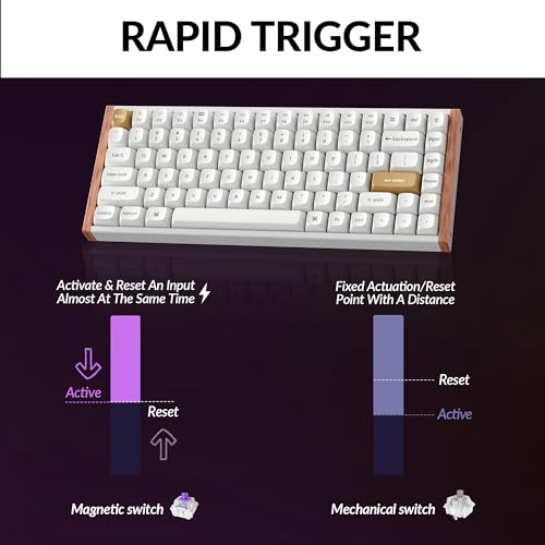 Keychron K2 HE Rapid Trigger Wireless Custom Mechanical Keyboard with Hall Effect Gateron Double-Rail Magnetic Switch, 2.4 GHz QMK Bluetooth 5.2 RGB Compatible with Mac Windows Linux (Aluminum + Wood) - Image 5