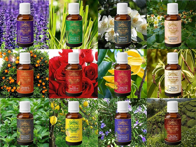Exotic Aromas Essential Oil Lavender Rose Tea Tree Vanilla Frankincense Rosemary Jasmine Ylang Ylang Peppermint Mandarin Lemongras Lemon Pack of 12 - Image 3