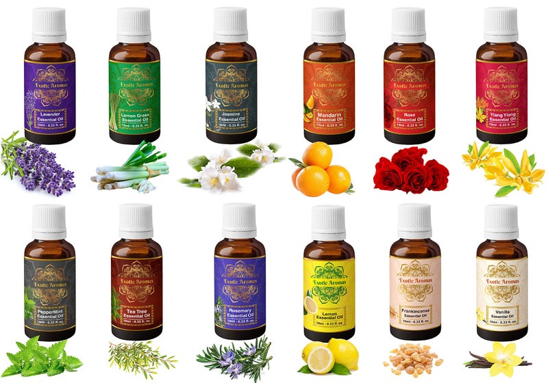Exotic Aromas Essential Oil Lavender Rose Tea Tree Vanilla Frankincense Rosemary Jasmine Ylang Ylang Peppermint Mandarin Lemongras Lemon Pack of 12 - Image 1