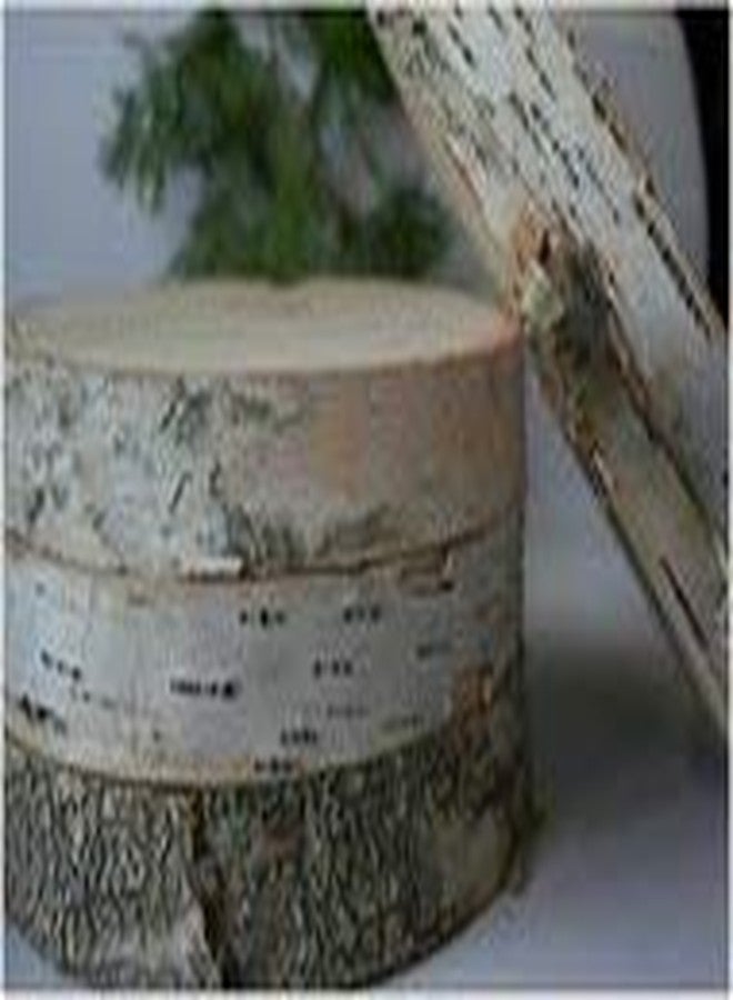 ويلسون شرائح خشب ويلسون الطبيعية، قطع دائرية من خشب البتولا غير المصقول، شرائح لحاء شجر ريفية من 5 إلى 7 بوصات، قطعة مركزية لطاولة حفلات الزفاف الخارجية (عبوة من 4 قطع) - Image 3