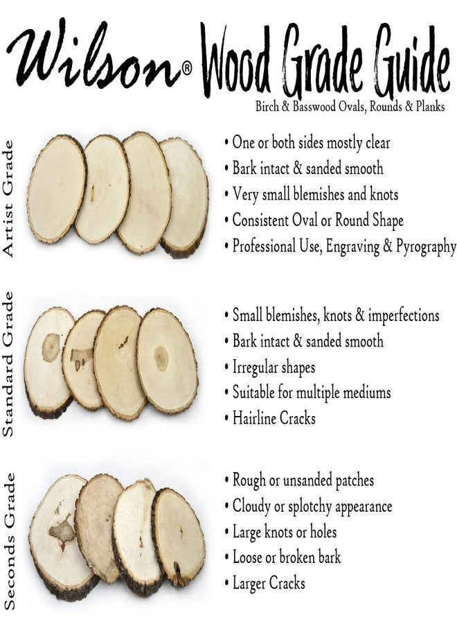 ويلسون شرائح خشب ويلسون الطبيعية، قطع دائرية من خشب البتولا غير المصقول، شرائح لحاء شجر ريفية من 5 إلى 7 بوصات، قطعة مركزية لطاولة حفلات الزفاف الخارجية (عبوة من 4 قطع) - Image 4