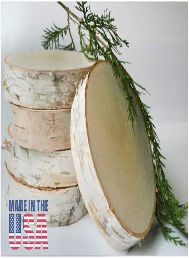 ويلسون شرائح خشب ويلسون الطبيعية، قطع دائرية من خشب البتولا غير المصقول، شرائح لحاء شجر ريفية من 5 إلى 7 بوصات، قطعة مركزية لطاولة حفلات الزفاف الخارجية (عبوة من 4 قطع) - Image 1