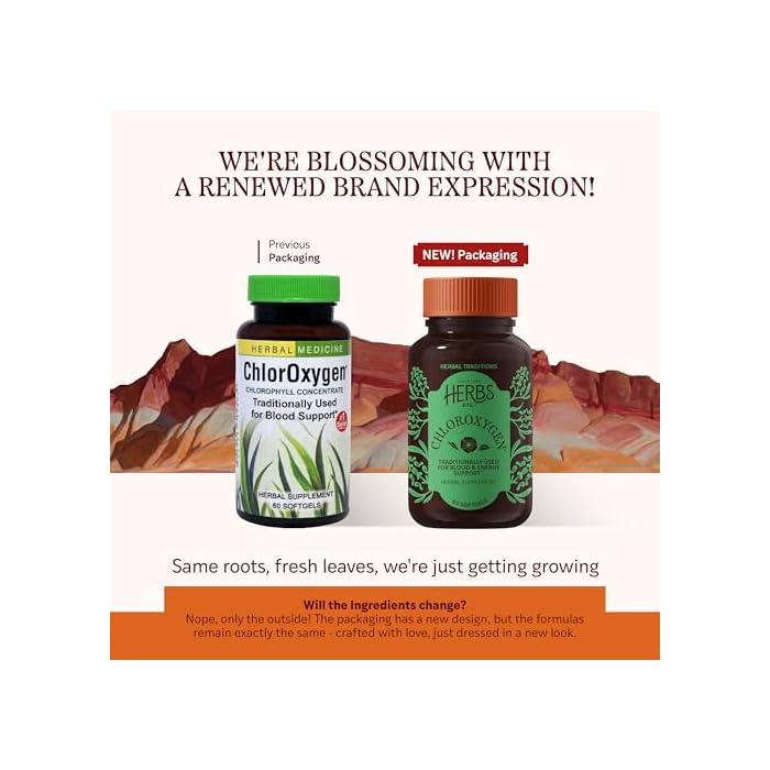 Herbs Etc. ChlorOxygen Chlorophyll Concentrate Softgels - High-Potency Chlorophyll for Detoxification Support - Deodorizing - Skin, Gut & Energy Support - 60 Count (60 Servings) - Image 2