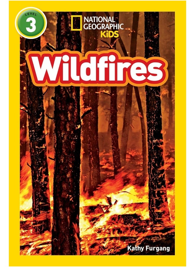 Wildfires 