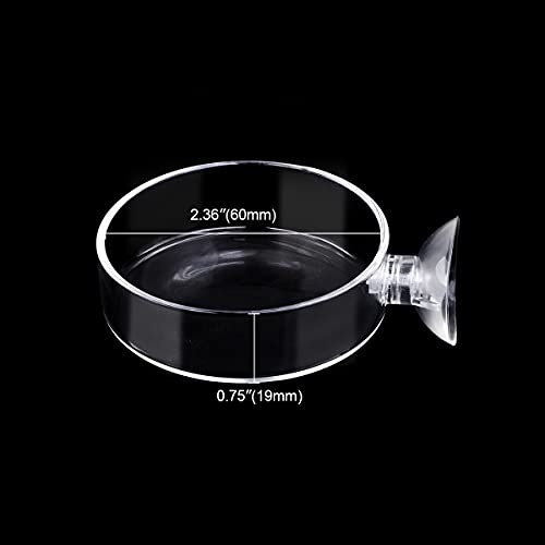 WEAVERBIRD 60mm Aquarium Shrimp Feeder Dish with Suction Glass Fish Tank Feeding Bowls Round Clear Dishes Tray - Image 2