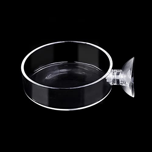 WEAVERBIRD 60mm Aquarium Shrimp Feeder Dish with Suction Glass Fish Tank Feeding Bowls Round Clear Dishes Tray - Image 1