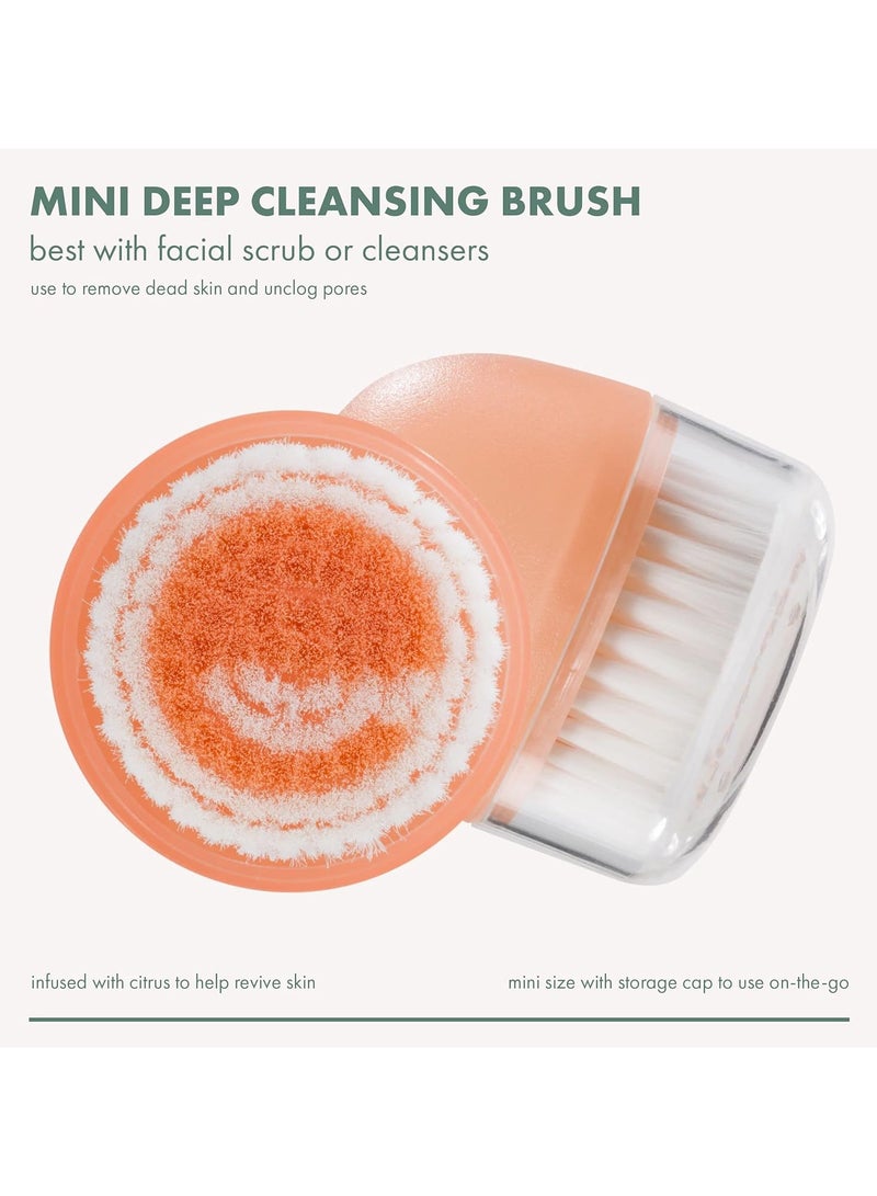 إيكوتولز فرشاة تنظيف الوجه الصغيرة، عبوة من قطعتين - Image 2