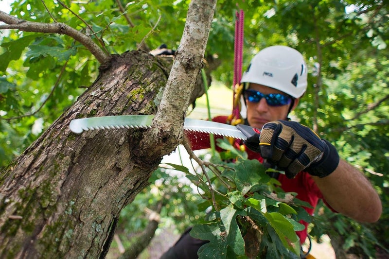 SILKY ZUBAT Professional Curved Hand Saw 240mm Large Teeth (270-24) - Image 5