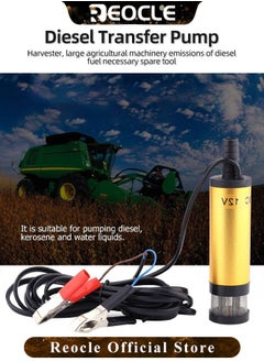 REOCLE Electric Oil Pump Diesel Fuel Transfer Pump with Filter 12V Mini Portable Submersible Water Pump for Automotive & Farm & Marina Use  - Image 2