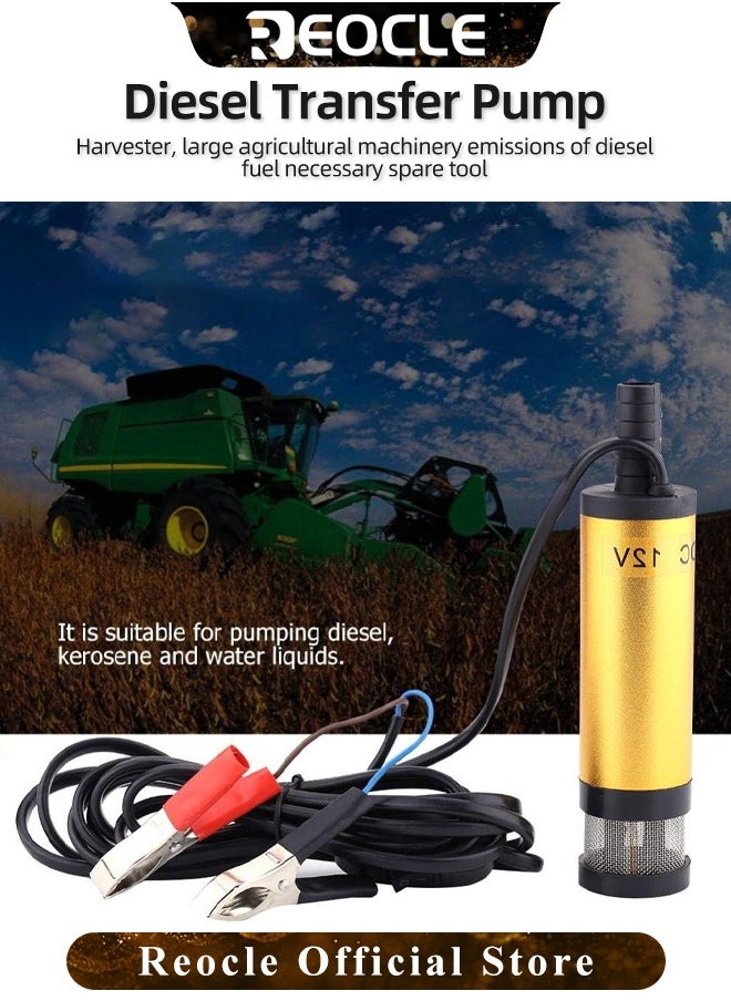REOCLE Electric Oil Pump Diesel Fuel Transfer Pump with Filter 12V Mini Portable Submersible Water Pump for Automotive & Farm & Marina Use  - Image 2