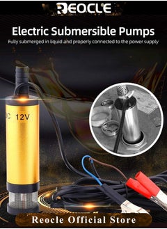 REOCLE Electric Oil Pump Diesel Fuel Transfer Pump with Filter 12V Mini Portable Submersible Water Pump for Automotive & Farm & Marina Use  - Image 4