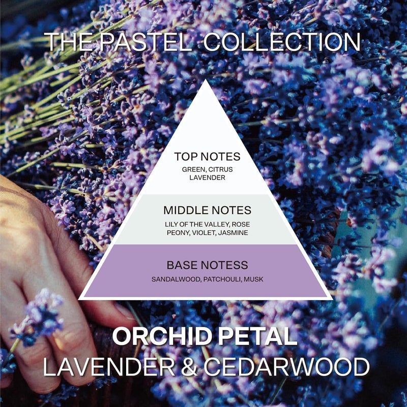 French Connection Orchid Petal Reed Diffuser - Image 3