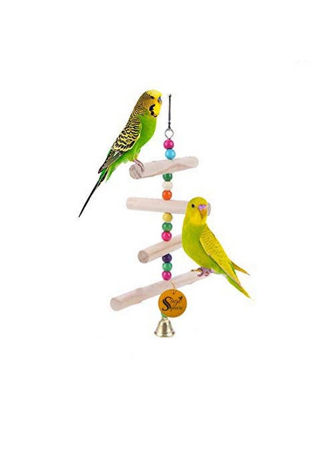 سايج سكوير لعبة معلقة من الخشب الطبيعي للطيور الصغيرة والمتوسطة - Image 3