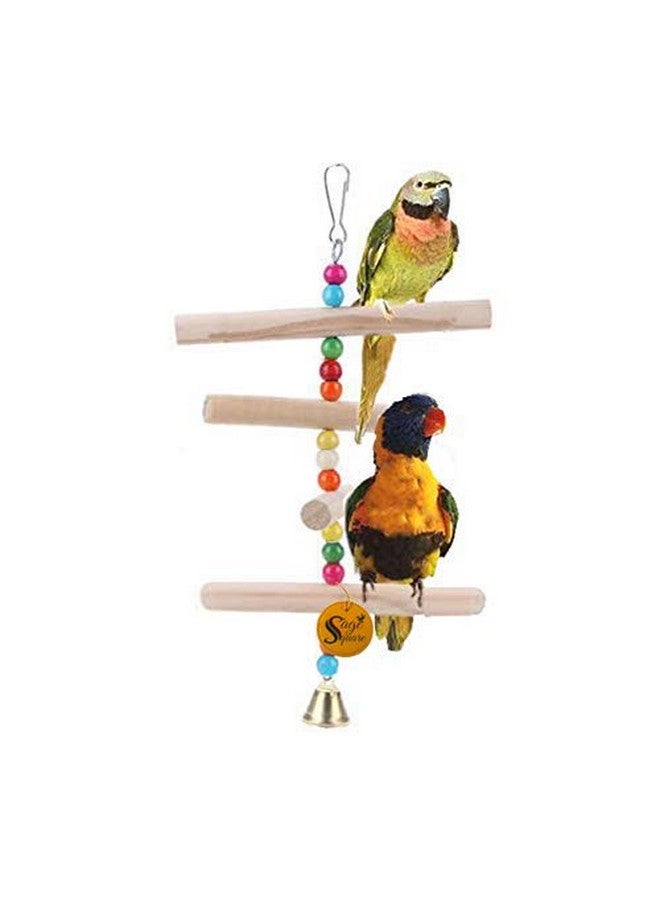 سايج سكوير لعبة معلقة من الخشب الطبيعي للطيور الصغيرة والمتوسطة - Image 2