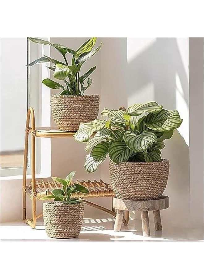 هوكور HOOKOR 3Pcs Seagrass Planter Basket Indoor or O utdoor, Flower Pots Cover,Natural Plant Containers, Home decorations, Gardening decorations - Image 3