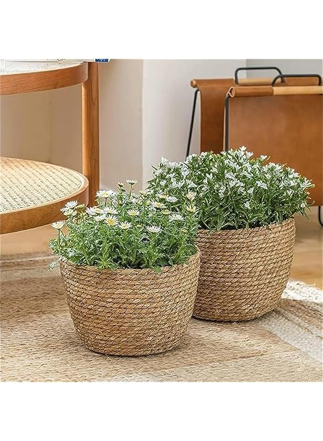 هوكور HOOKOR 3Pcs Seagrass Planter Basket Indoor or O utdoor, Flower Pots Cover,Natural Plant Containers, Home decorations, Gardening decorations - Image 5