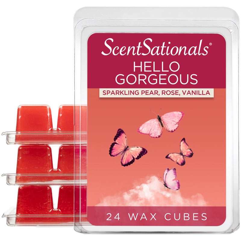 ScentSationals Scentsationals Wax Melts Wax Cubes Strong Scent  Hello Gorgeous  Long Lasting Scented Wax Melts for Warmer 10oz 24Cubes 