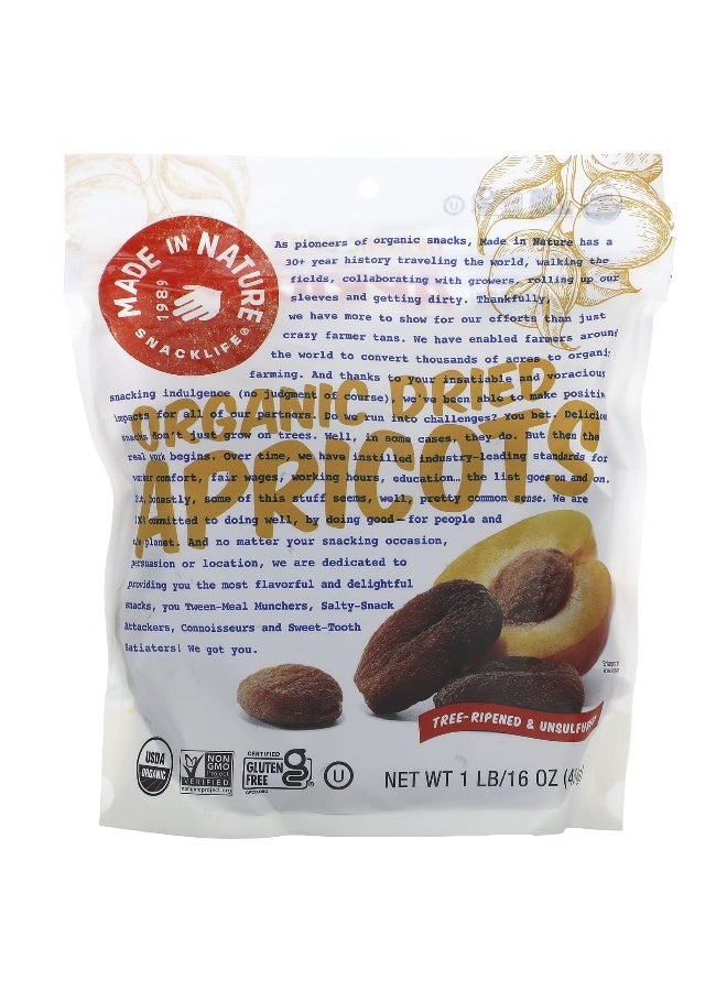 Made in Nature, Organic Dried Apricots, Tree-Ripened & Unsulfured, 1 lb (454 g) - Image 1