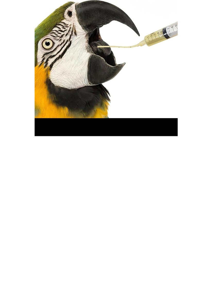 Feeding Syringe For Young Pets 5ml - Image 2