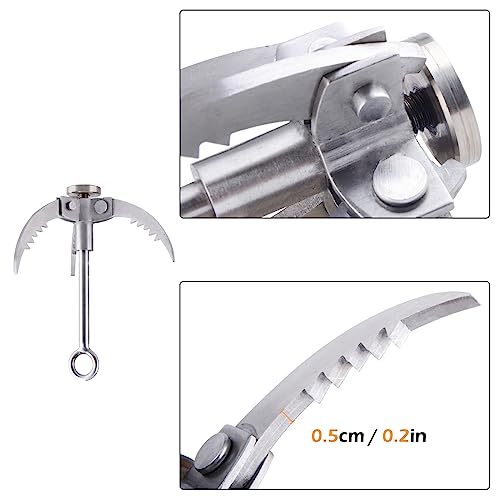 TRIWONDER Grappling Hook Gravity Rock Climbing Hooks Folding Claws Stainless Steel Anchor for Climbing, Hiking, Tree Limb Removal (Silver - 3 Claws) - Image 4