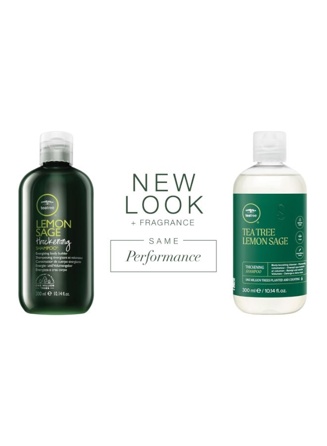 Paul Mitchell Paul Mitchell Tea Tree Lemon Sage Thickening Shampoo (300ml)  - Image 2