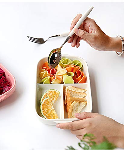 Sizikato 2pcs Rectangular Ceramic Divided Plate Dinner Plate Luncheon Plate Fruit Salad Plate. 9 Inches - Image 2