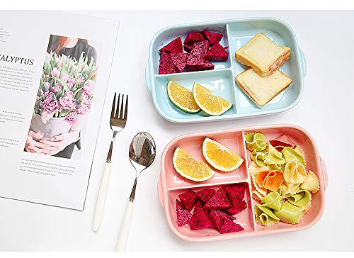 Sizikato 2pcs Rectangular Ceramic Divided Plate Dinner Plate Luncheon Plate Fruit Salad Plate. 9 Inches - Image 5