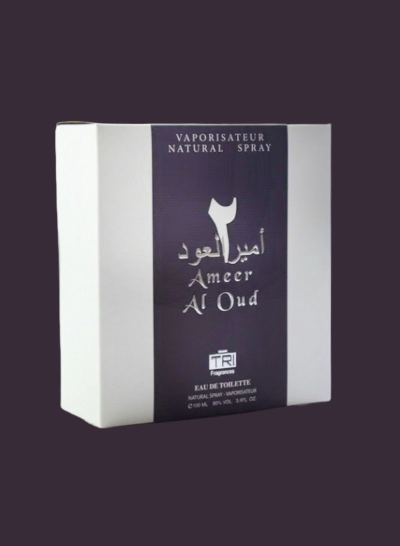 تي أر آي 10 قطع عطر امير العود 100 مل EDT - Image 2