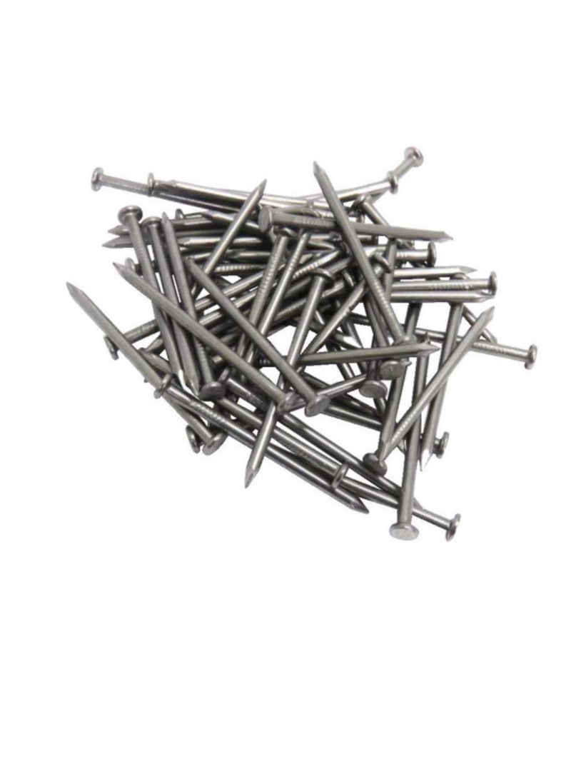 High Strength Round Head Nails For Carpentry Hardware Electrical Etc (25, 3 inch) - Image 1